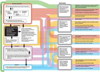 Key policy interventions to limit infectious disease emergence and spread
